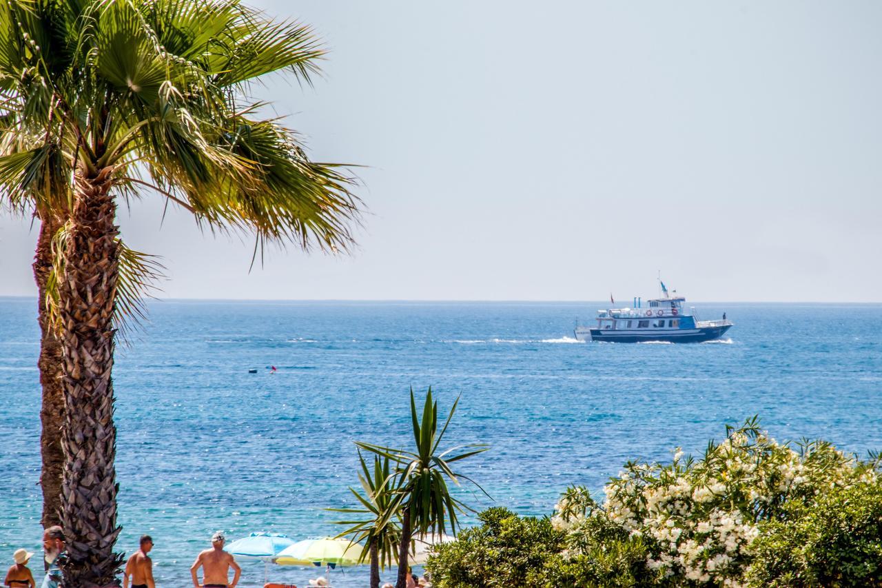 Espanatour Vega Baja Τορεβιέχα Εξωτερικό φωτογραφία